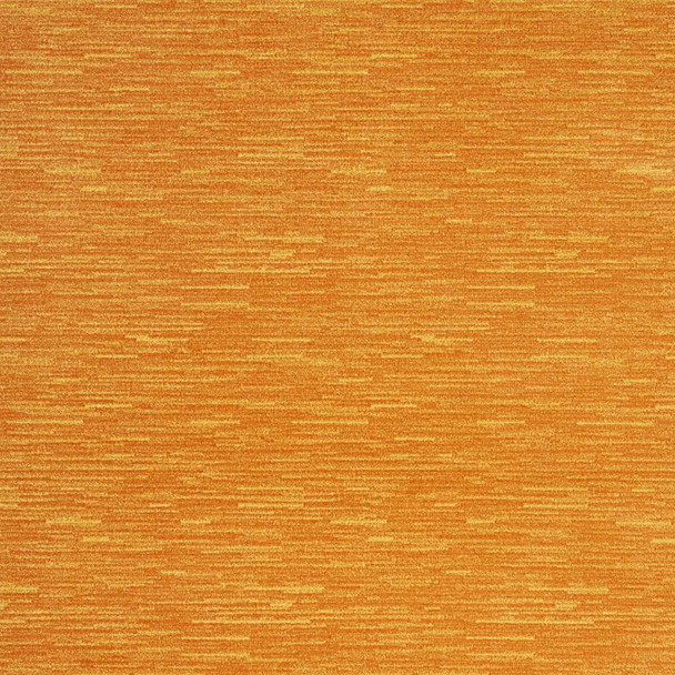 230097729