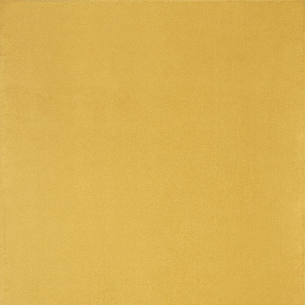 230098065