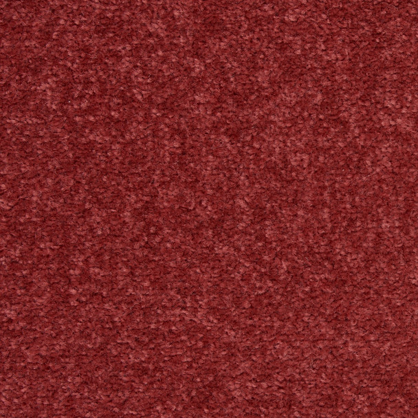242822804