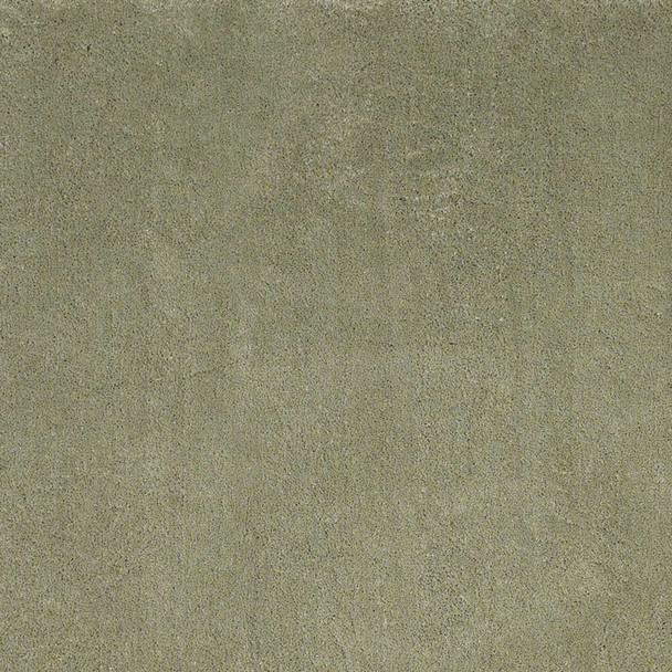 8' X 10' Sage Shag Hand Woven Area Rug