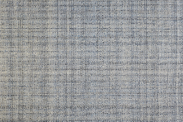 306825855
