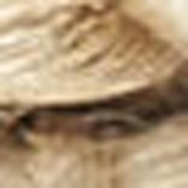 290628416