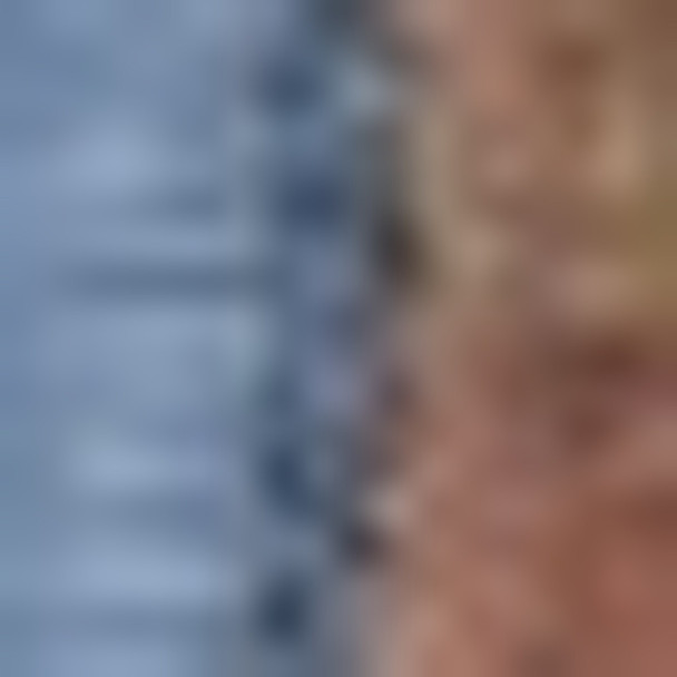 290632941