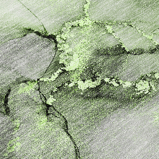 306662201