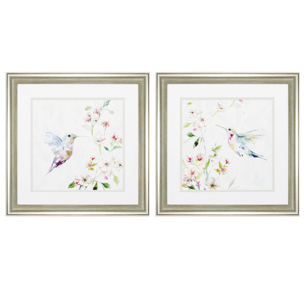 19" X 19" Brushed Silver Frame Hummingbird (Set Of 2)