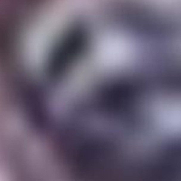 293601135