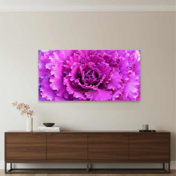 298586529