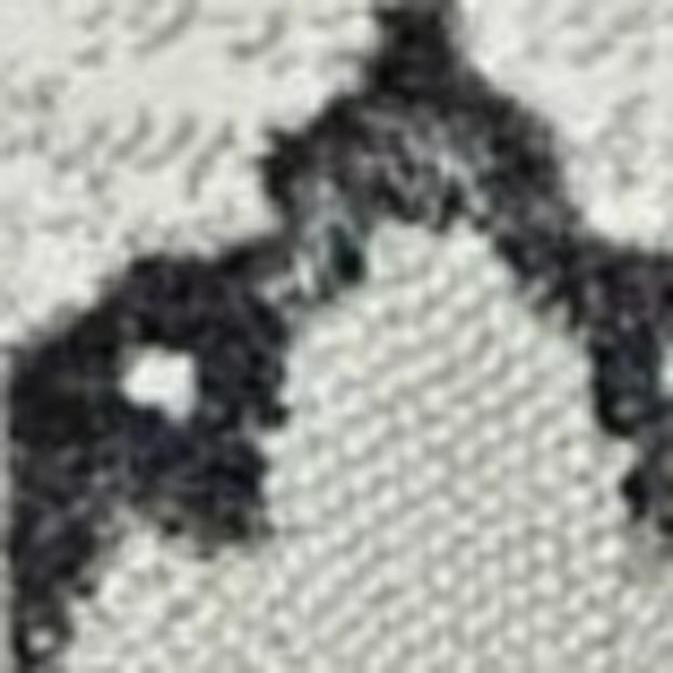 286020542