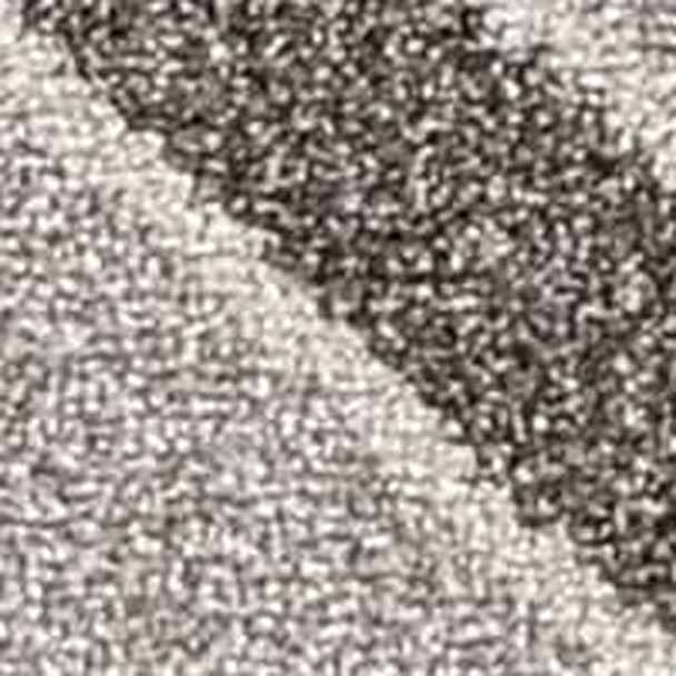 230049652