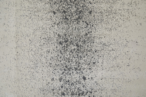306825382