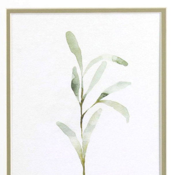 Set Of Two Olive Leaves White Framed Print Wall Art