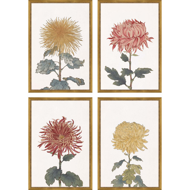 Set Of Four Chrysanthemum Gold Framed Print Wall Art