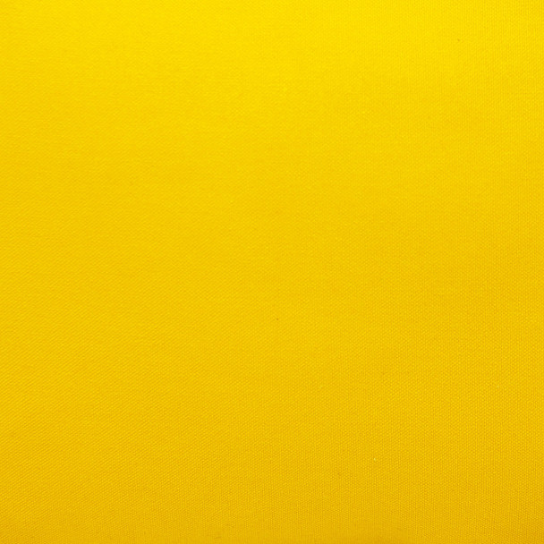 306713006