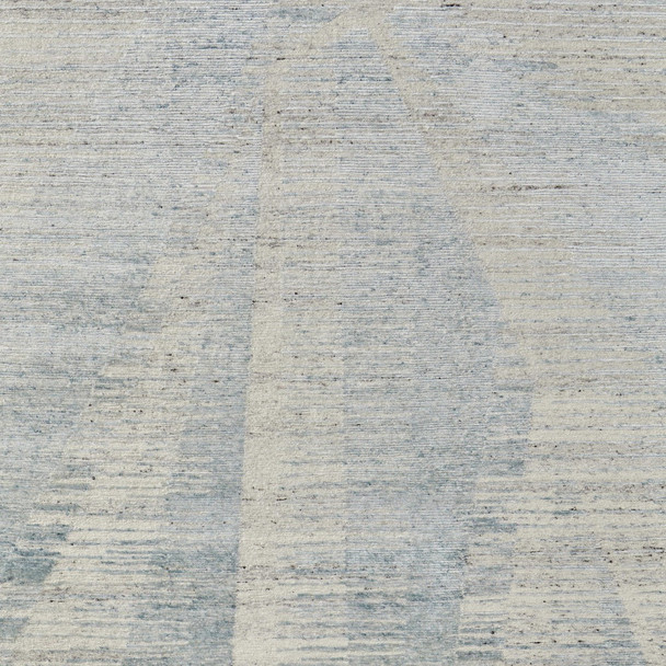 306719203