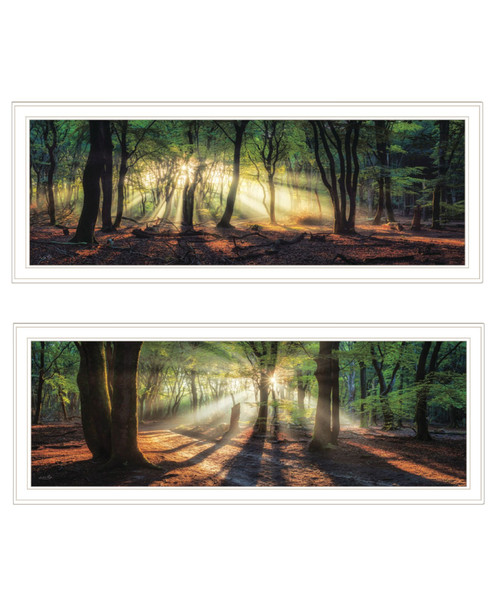 Set Of Two Sun Rays in the Forest White Framed Wall Art