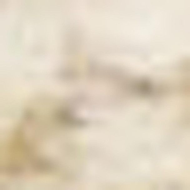 293605061