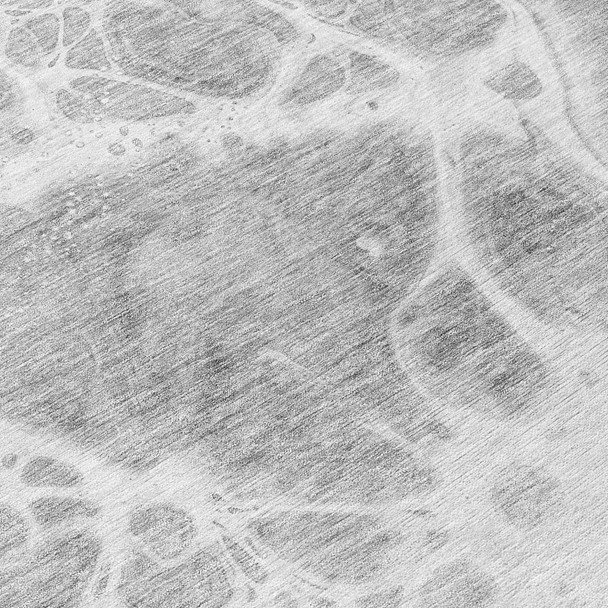 306819287