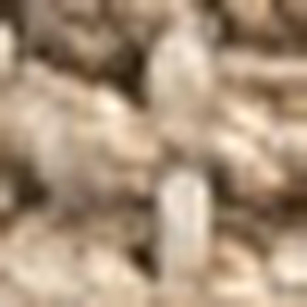 290638522