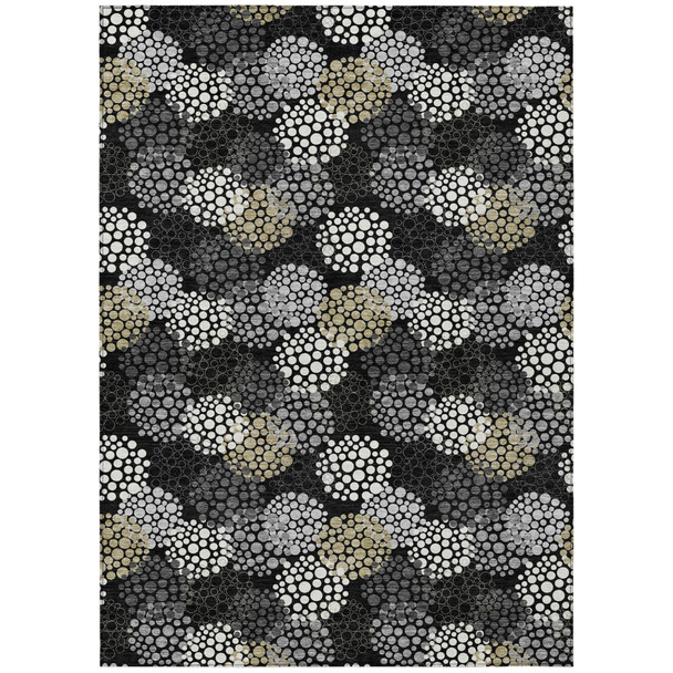 230081660