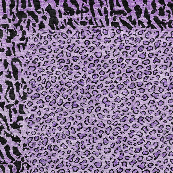 230186637