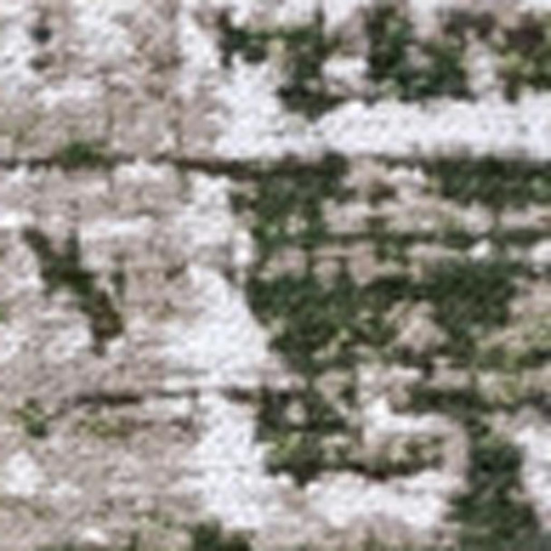 292839921