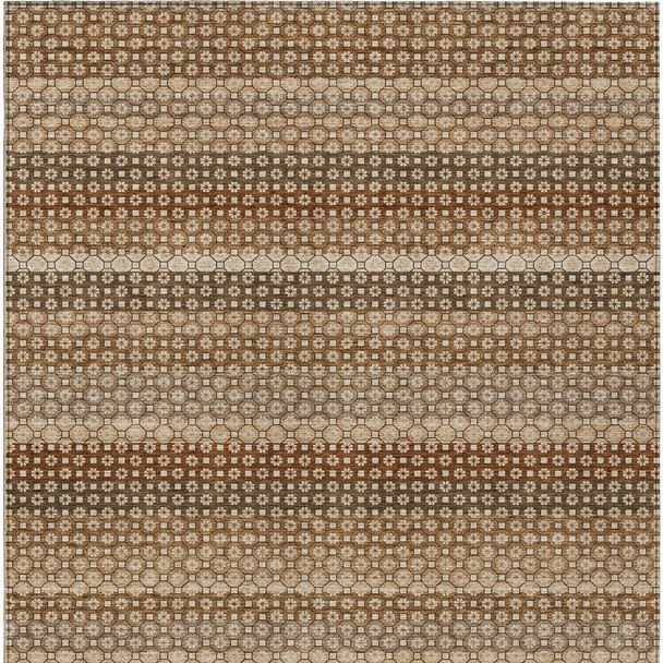 232573564