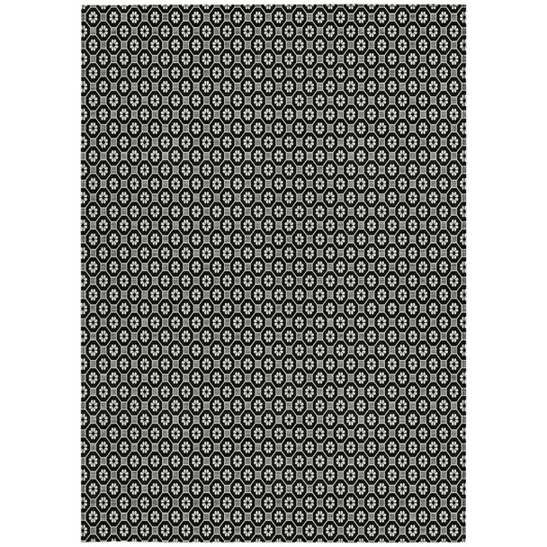 232571794