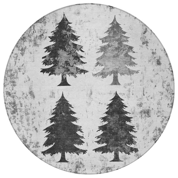 251456571