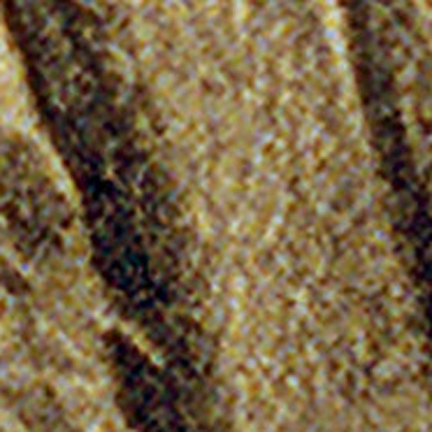 159569231
