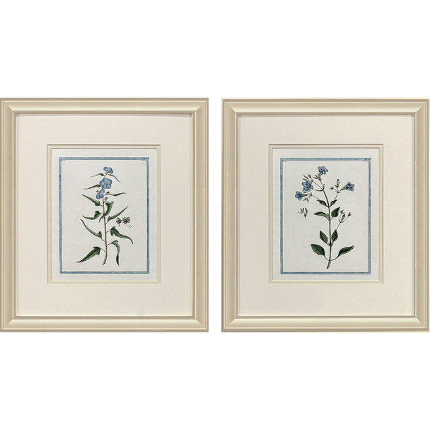 Set Of Two Shabby Chic Botanical Gold Framed Wall Art