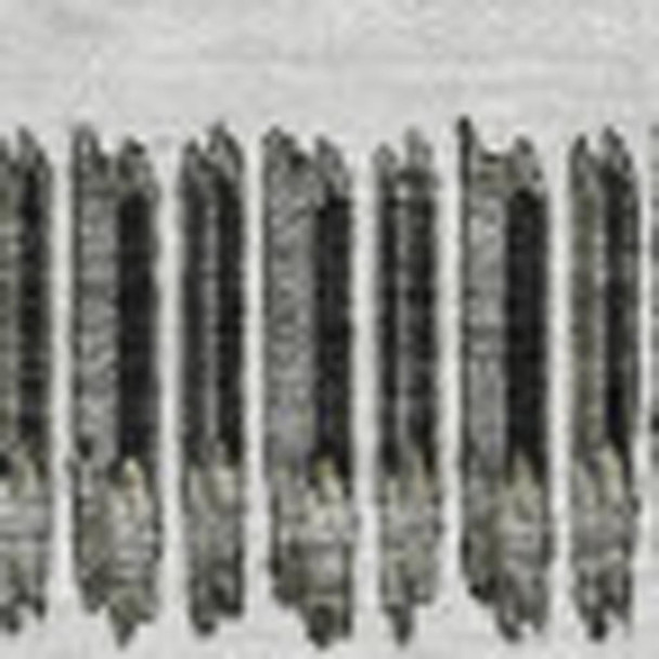 286158121