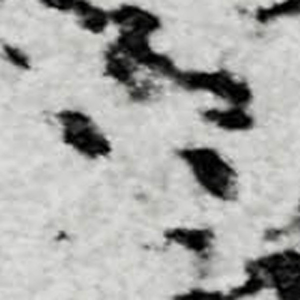 286168840