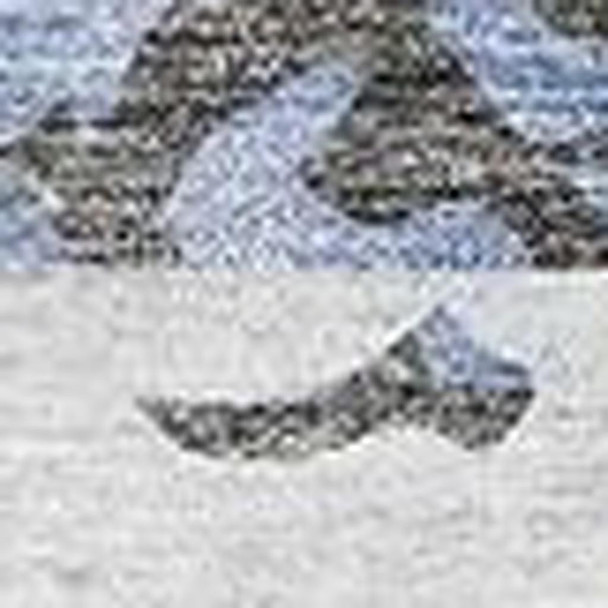 286208442