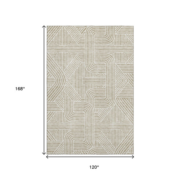 292843216