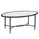 45" Clear and Black Glass and Metal Oval Coffee Table