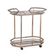 31" Champagne Iron and Mirrored Glass Octagonal Rolling Bar Cart