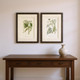 Set Of Two Queen's Lace I Brown Framed Wall Art