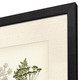 Set Of Two Queen's Lace II Brown Framed Wall Art