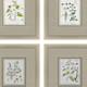 Set Of Four La Passerage II Silver Framed Wall Art