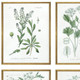 Set Of Four Assemblage Gold Framed Wall Art