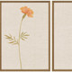 Set Of Two Wild Flourish II Gold Framed Wall Art