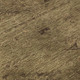 302500645