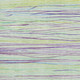 286467760