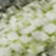 9' X 12' Artichoke Green And Gray Abstract Washable Area Rug With UV Protection