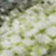 10' X 14' Artichoke Green And Gray Abstract Washable Area Rug With UV Protection