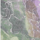 286515949