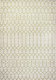 5' X 8' Cream And Green Trellis Indoor Outdoor Area Rug
