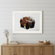 Bear in the Mountains 1 White Framed Print Wall Art