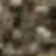 286543720
