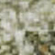 286552413
